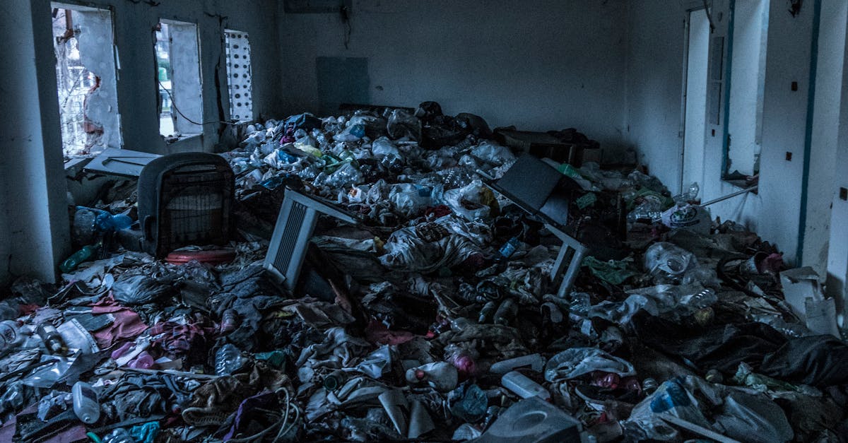 Questions to Ask Before Hiring a Junk Removal Company